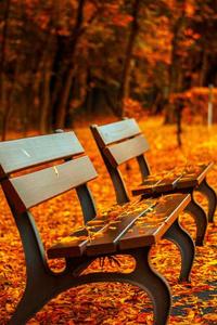 职能进阶手册 101