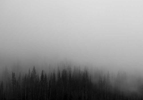 财务预测模版 v9.0